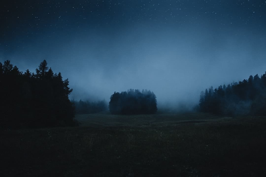 山东荣成：体会水上运动 畅享夏天清凉